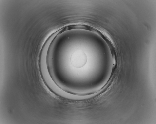 X0000112090805200908041449