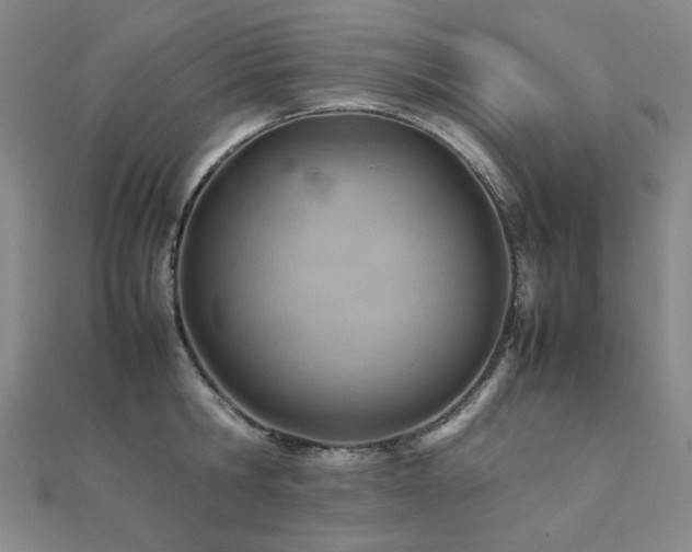 X0000112090806200908041449