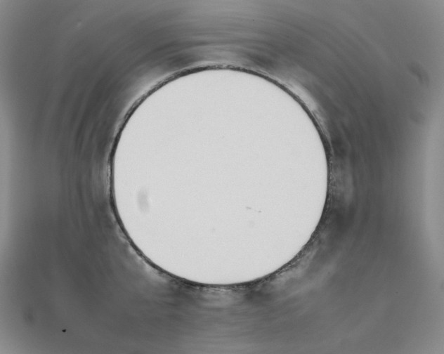 X0000112090807200908041449