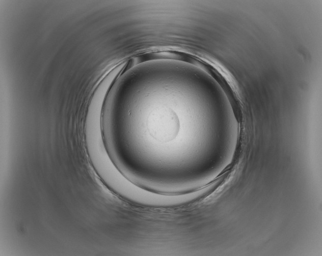 X0000112090809200908041449