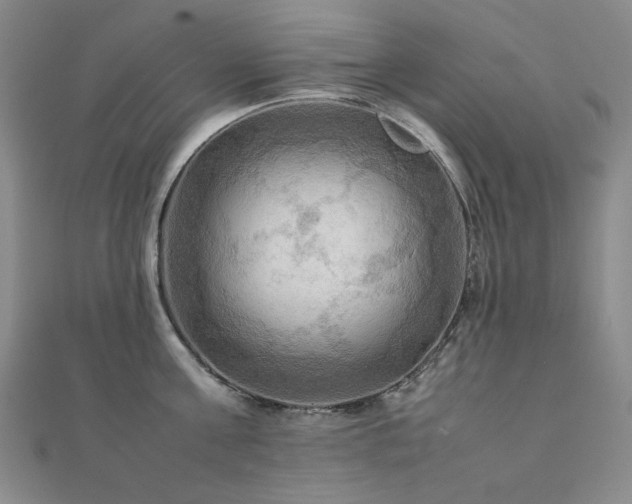 X0000112090811200908041449