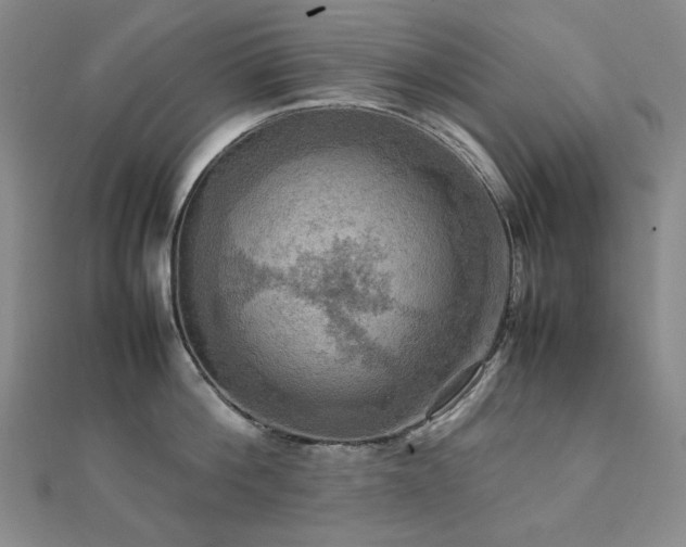 X0000112090812200908041449