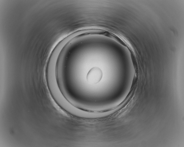 X0000112090813200908041449