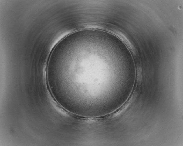 X0000112090814200908041449