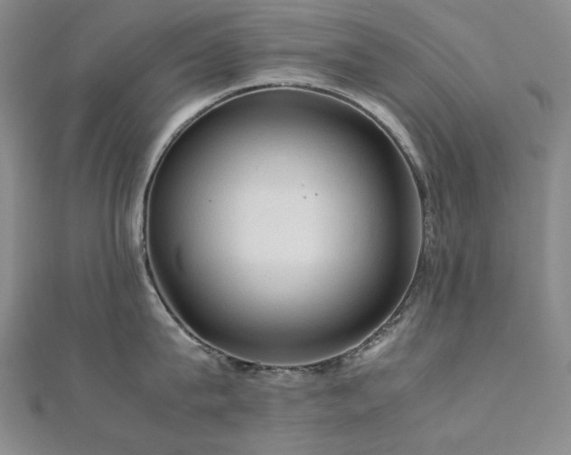 X0000112090815200908041449
