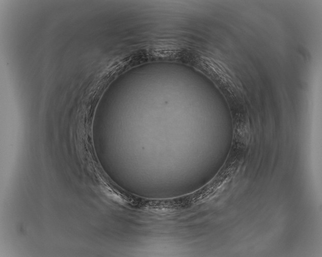 X0000112090817200908041448
