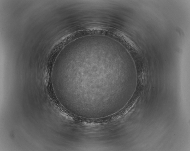 X0000112090821200908041448