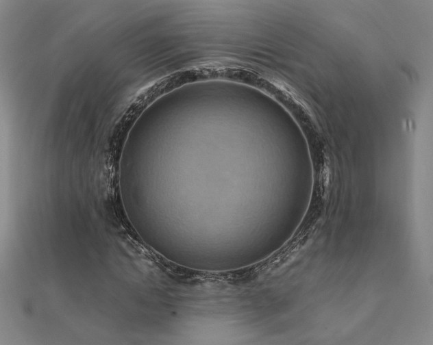 X0000112090822200908041448