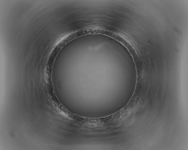 X0000112090823200908041448