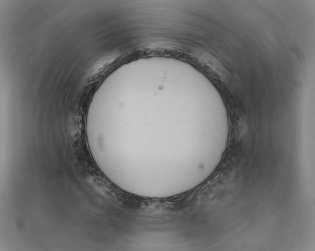 X0000112090824200908041448