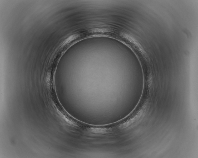 X0000112090825200908041448