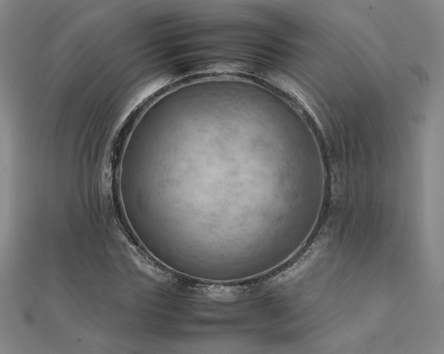 X0000112090827200908041448