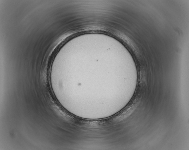 X0000112090828200908041448