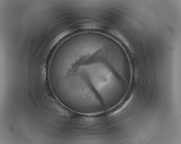 X0000112090829200908041448