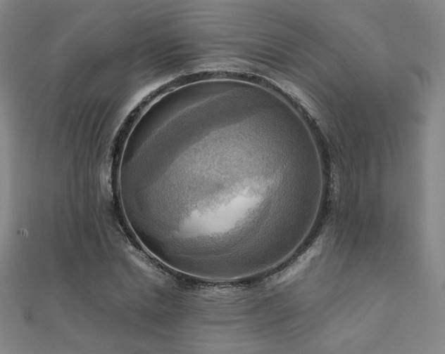 X0000112090830200908041448