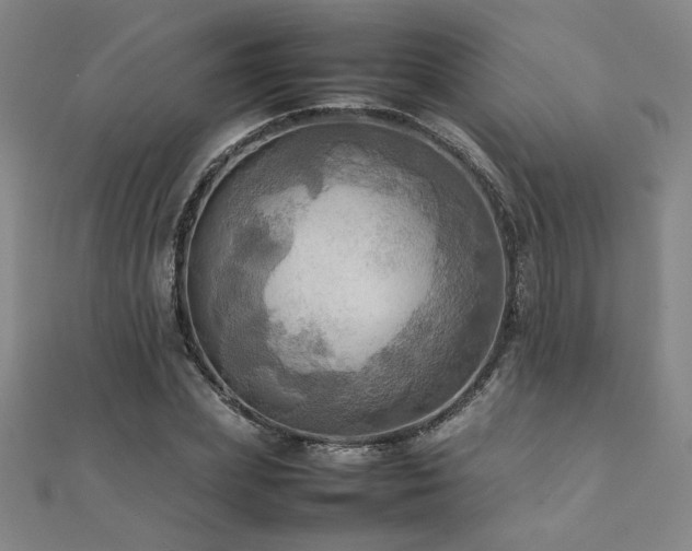 X0000112090831200908041448