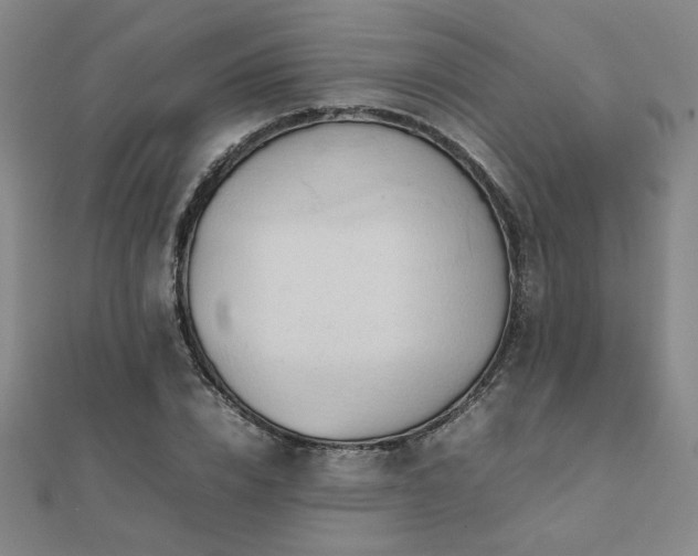 X0000112090832200908041448
