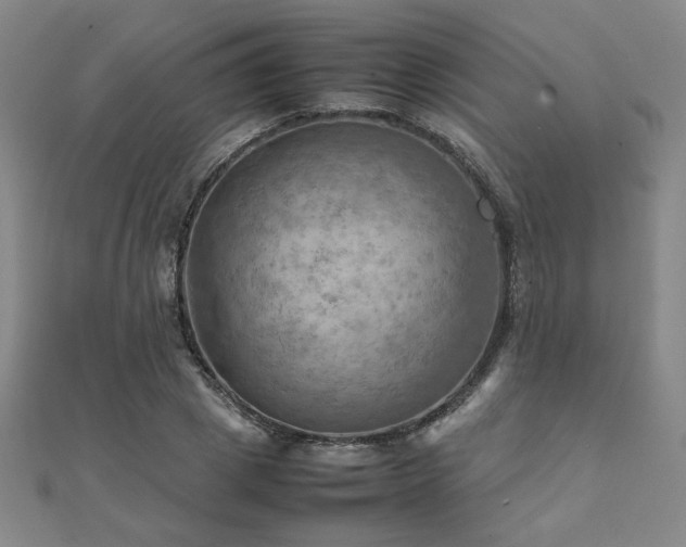 X0000112090833200908041448