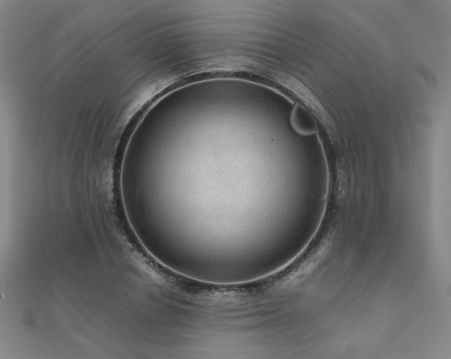 X0000112090834200908041448