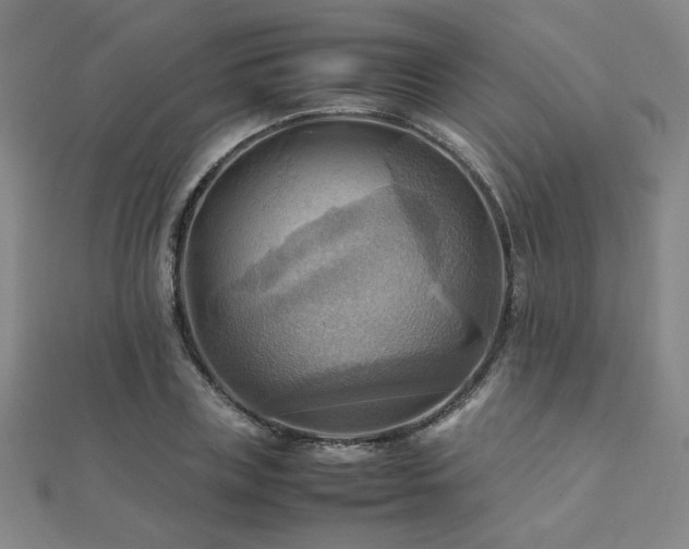 X0000112090835200908041448