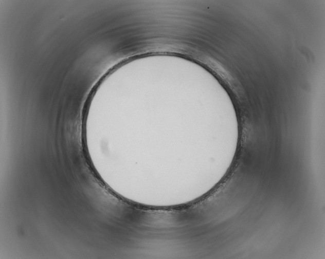 X0000112090836200908041448