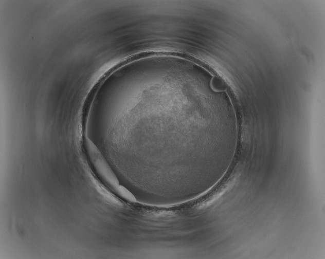 X0000112090837200908041448