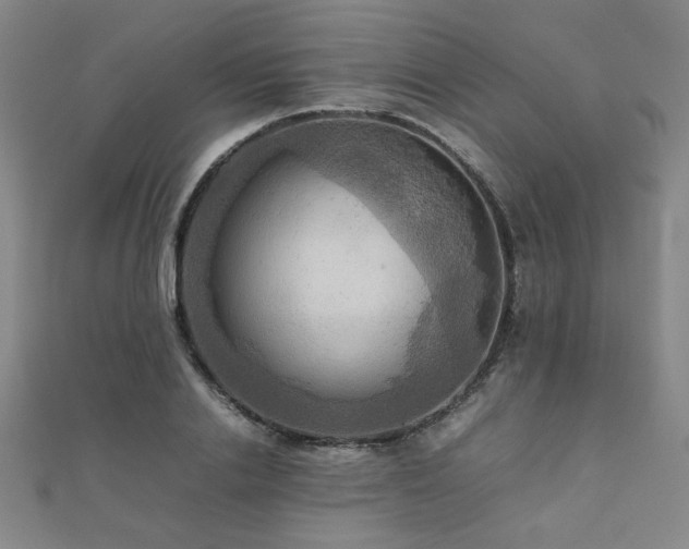 X0000112090838200908041448