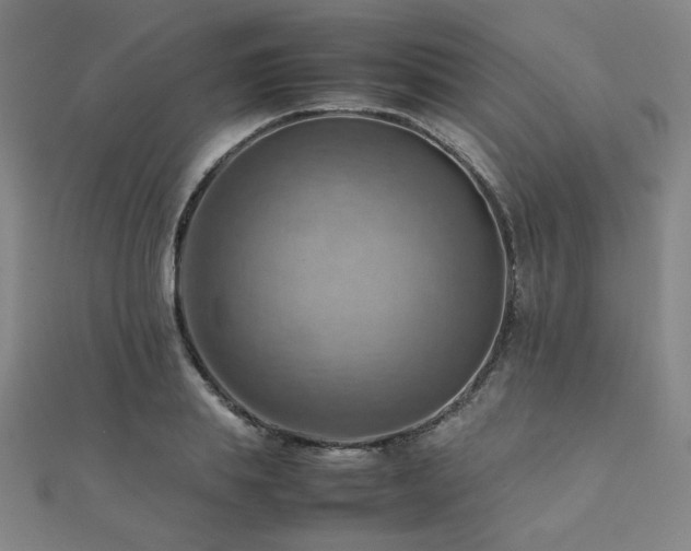 X0000112090839200908041448