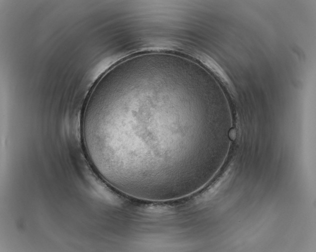 X0000112090842200908041448