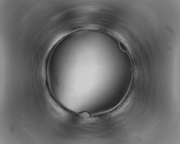 X0000112090843200908041448