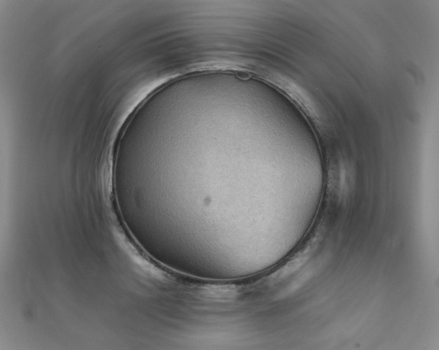 X0000112090844200908041448