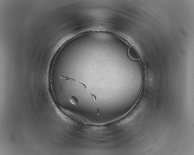 X0000112090845200908041448