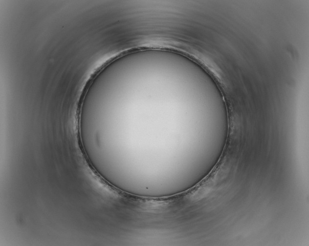 X0000112090848200908041448