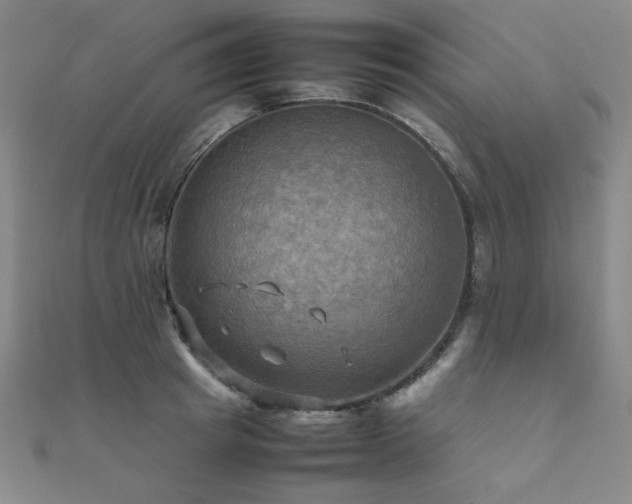 X0000112090849200908041448
