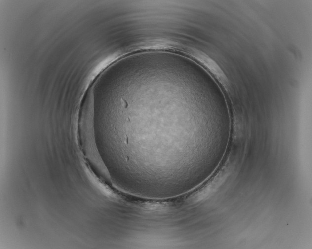 X0000112090850200908041448