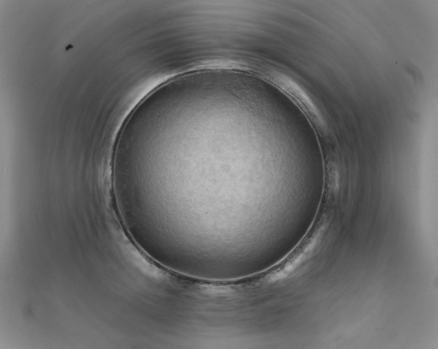 X0000112090852200908041448