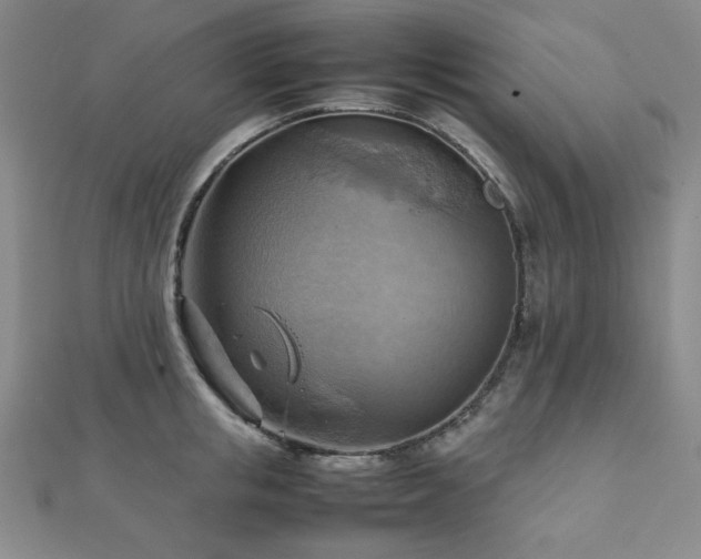 X0000112090853200908041448