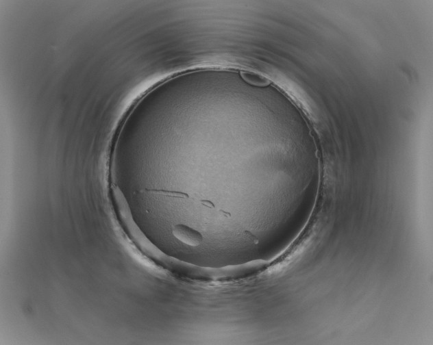 X0000112090854200908041448