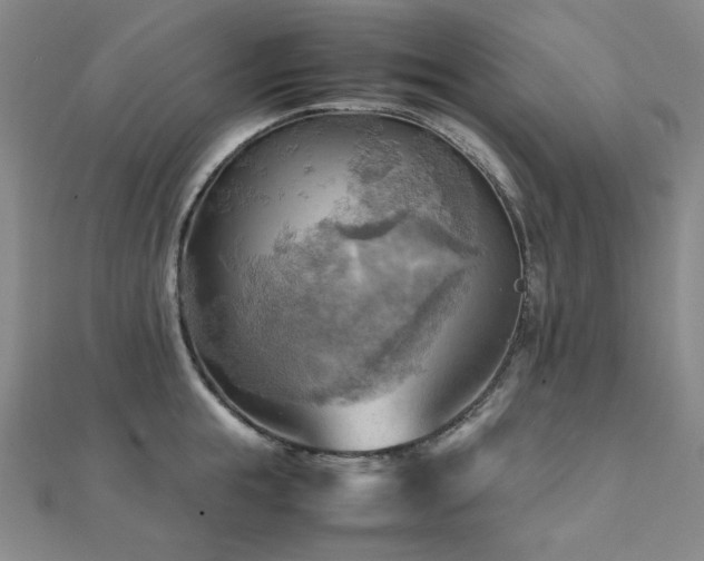 X0000112090855200908041448