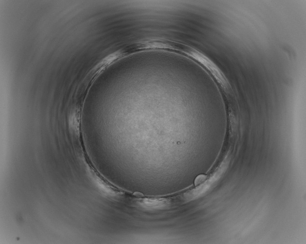 X0000112090857200908041448