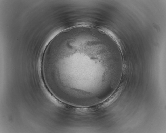 X0000112090859200908041448