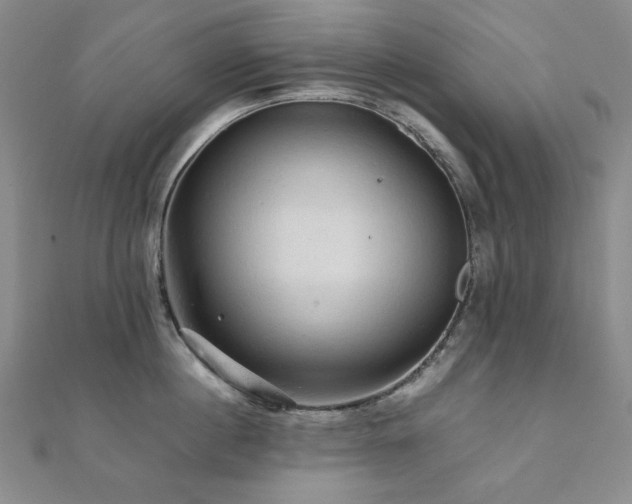 X0000112090860200908041448