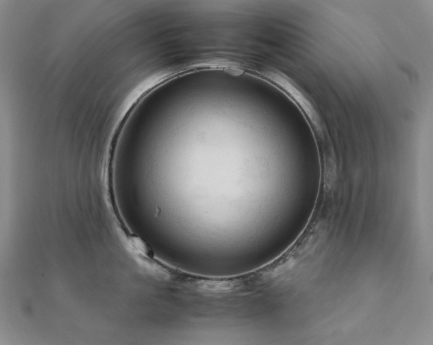 X0000112090861200908041448