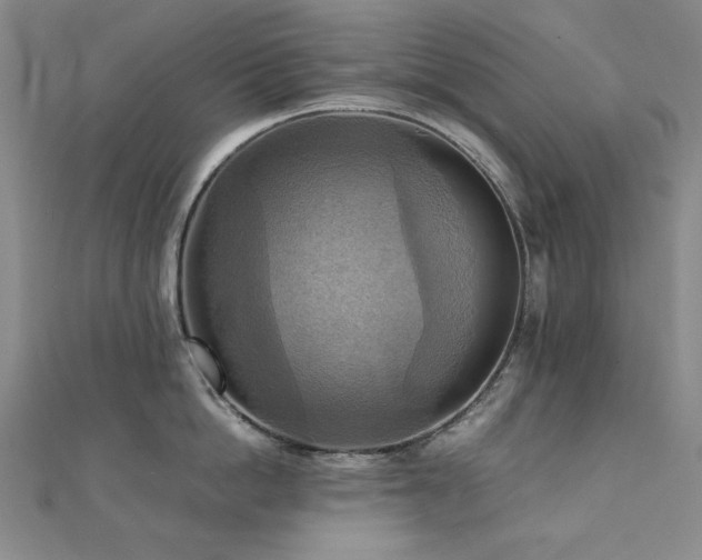X0000112090862200908041448