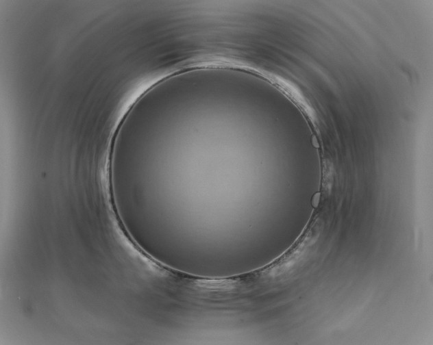 X0000112090863200908041449