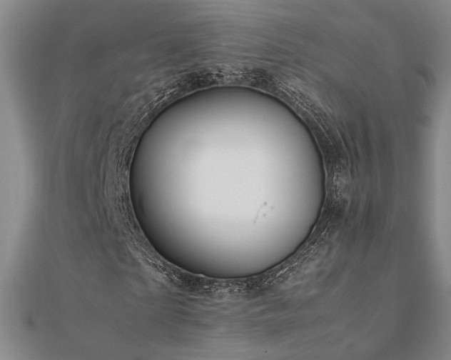 X0000112090865200908041448