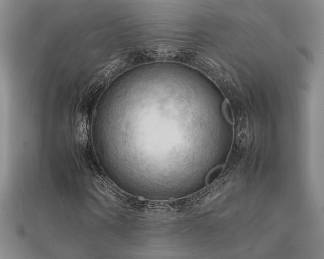 X0000112090866200908041448