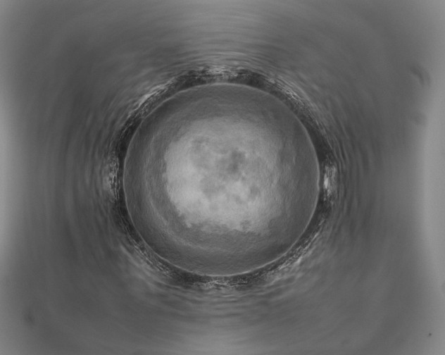 X0000112090867200908041448
