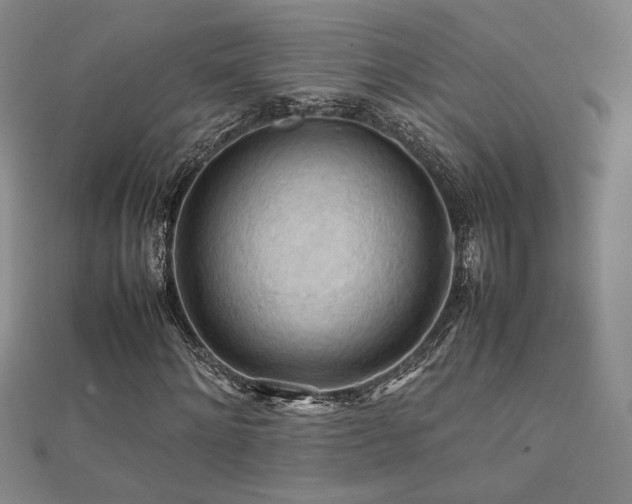X0000112090868200908041448
