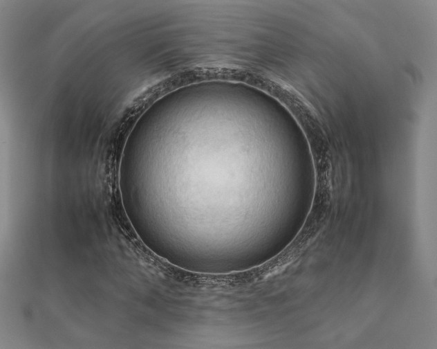 X0000112090870200908041448